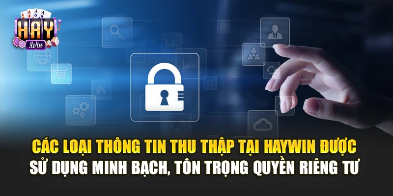 Các loại thông tin thu thập tại Haywin được sử dụng minh bạch, tôn trọng quyền riêng tư 