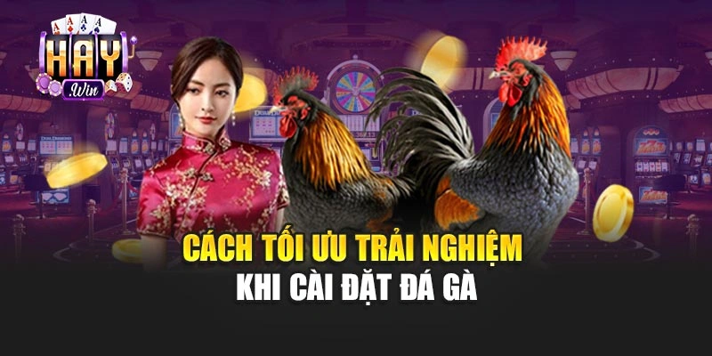 Cách tối ưu trải nghiệm khi cài đặt đá gà