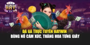 Đá Gà Trực Tuyến Haywin Bùng Nổ Cảm Xúc, Thăng Hoa Từng Giây