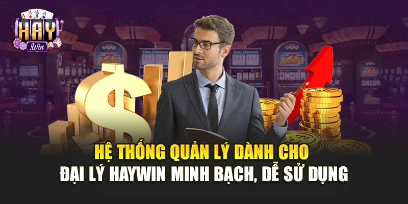 Hệ thống quản lý dành cho đại lý Haywin minh bạch, dễ sử dụng