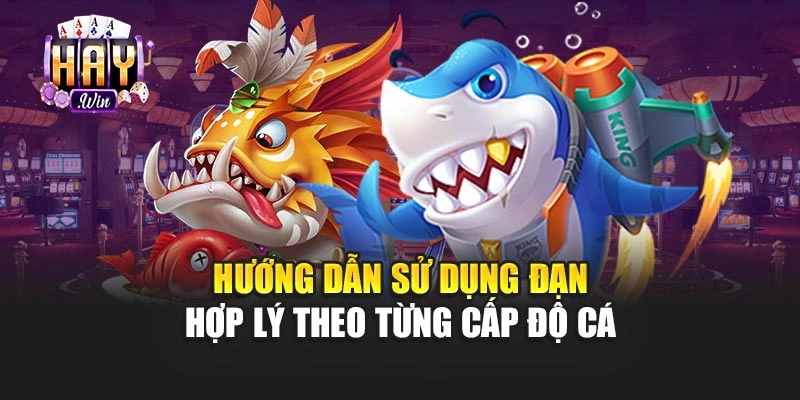 Hướng dẫn sử dụng đạn hợp lý theo từng cấp độ cá