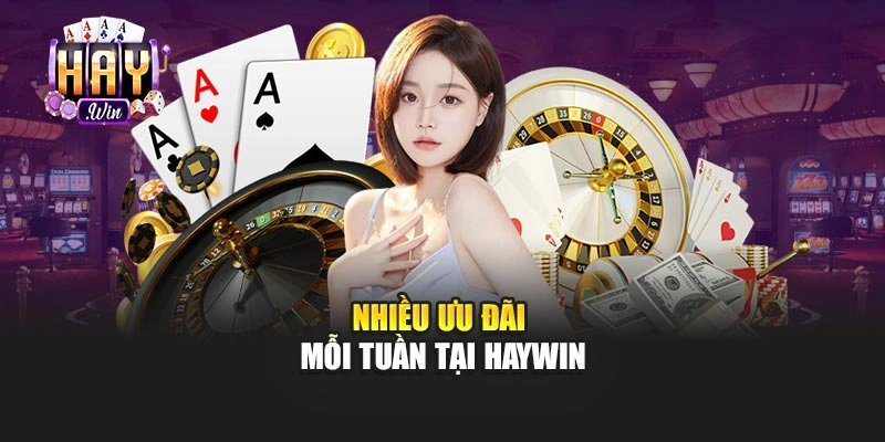 Nhiều ưu đãi mỗi tuần tại Haywin