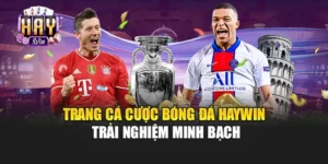 Trang Cá Cược Bóng Đá Haywin – Trải Nghiệm Minh Bạch